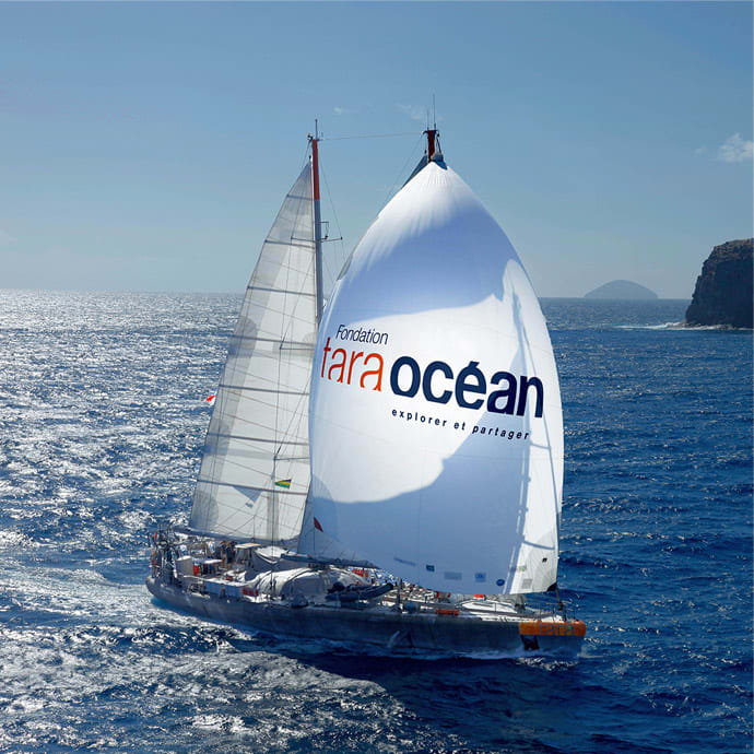The schooner Tara sets sail again